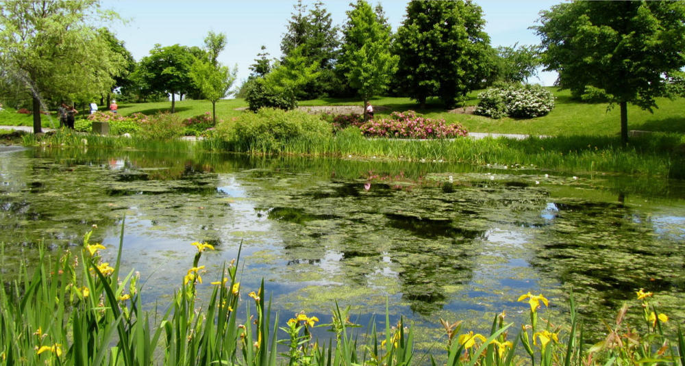 landscape