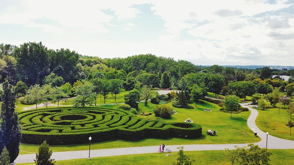 landscape
