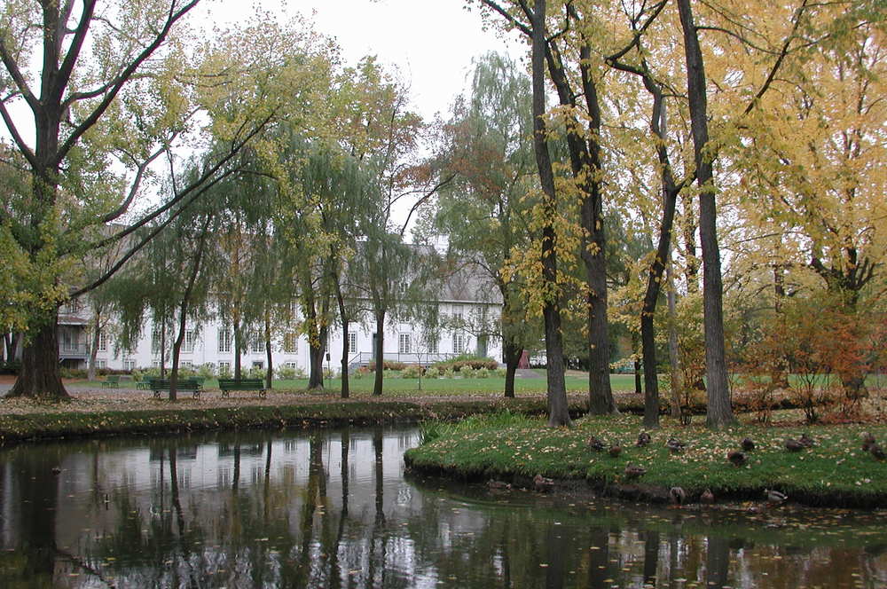 landscape
